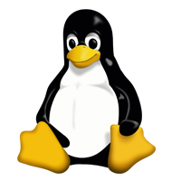 Linux Fundamentals Modulo 1